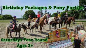 Smiling Faces Equestrian – Bild 5