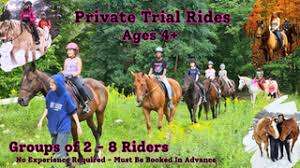 Smiling Faces Equestrian – Bild 6