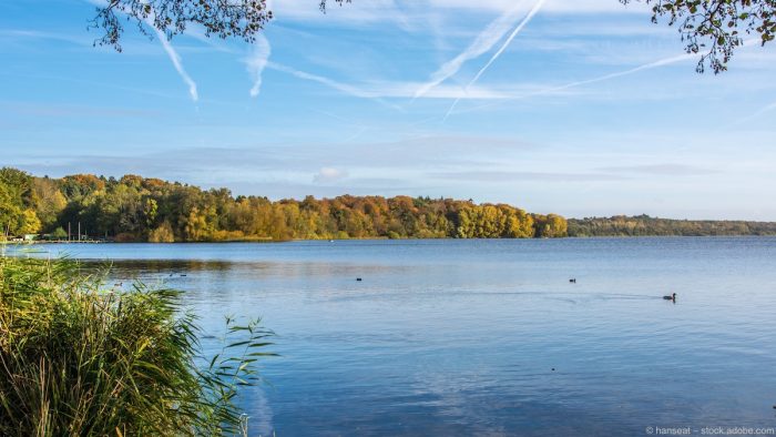 FERIENHOF DAMLOS – Bild 4