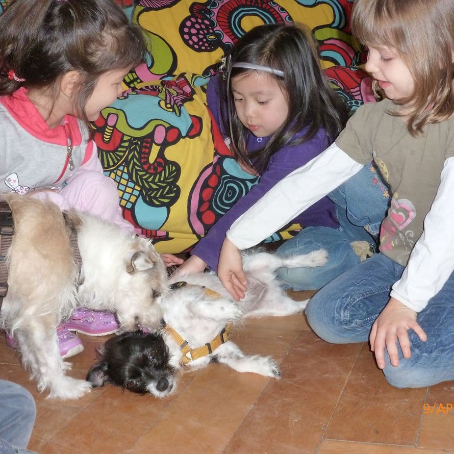 SOS-Kinder- und Jugendhilfen Göppingen – Bild 5