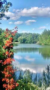 Dollard des Ormeaux Park – Bild 4