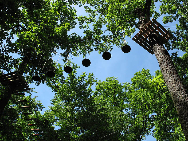 Waldklettergarten Stuttgart – Bild 3