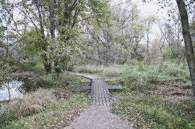 Brick Ponds Trail – Bild 2