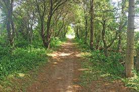 Brick Ponds Trail – Bild 3