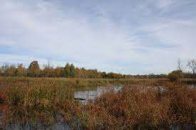 Brick Ponds Trail – Bild 4