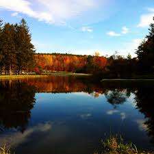 Benson Park – Bild 1