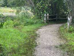 Benson Park – Bild 4