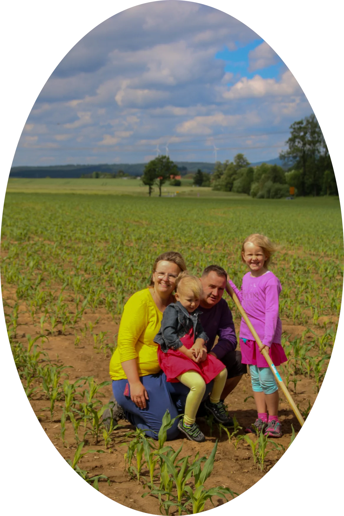 Maislabyrinth Dirlos "Kohleser Hof" – Bild 3