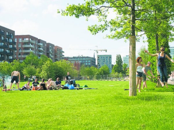 Die Super-Rutsche im Lohsepark – Bild 6