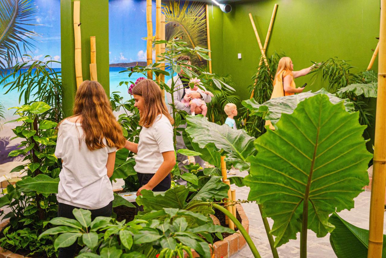 Papilonia Dinkelsbühl - Schmetterlingshaus – Bild 1