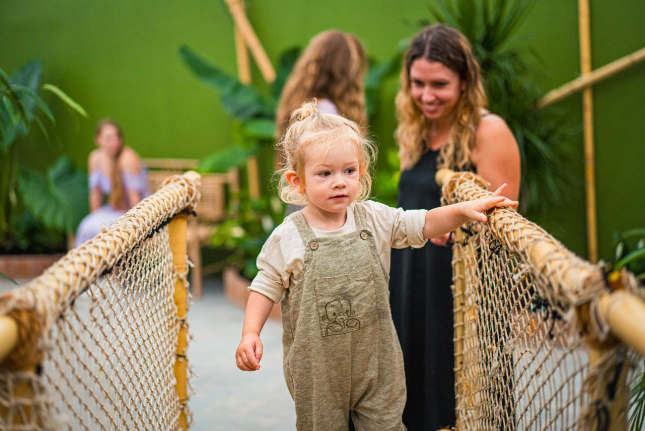 Papilonia Dinkelsbühl - Schmetterlingshaus – Bild 4