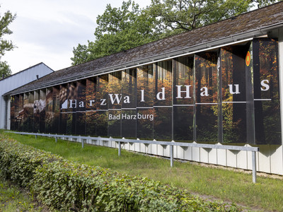 HarzWaldHaus – Bild 1