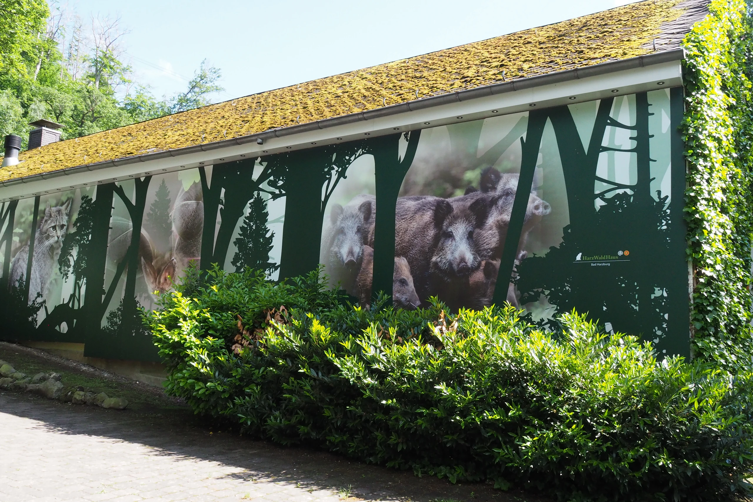 HarzWaldHaus – Bild 2