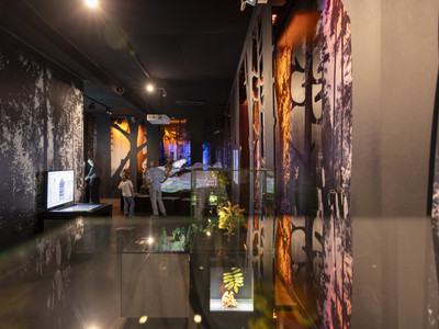 HarzWaldHaus – Bild 4