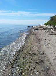 Lakeview Park Beach – Bild 5