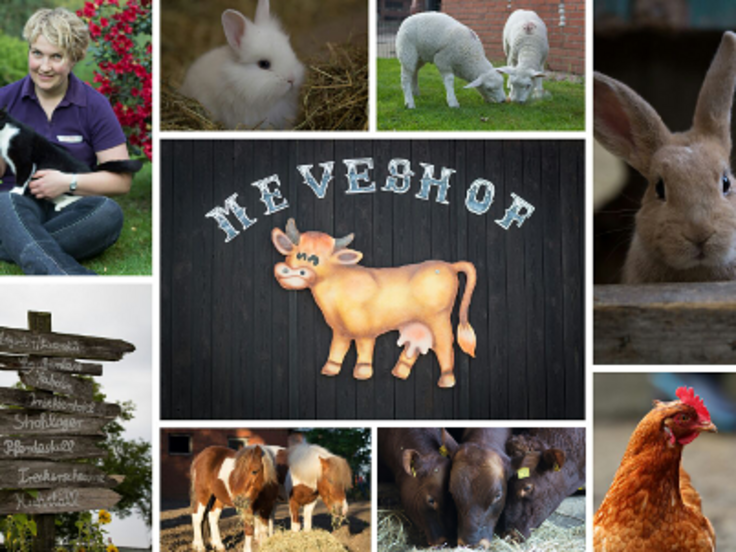 Meves-Hof – Bild 3