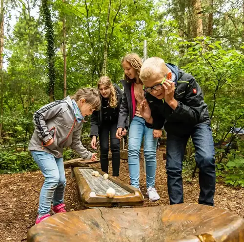 Murmelbahn – Bild 3