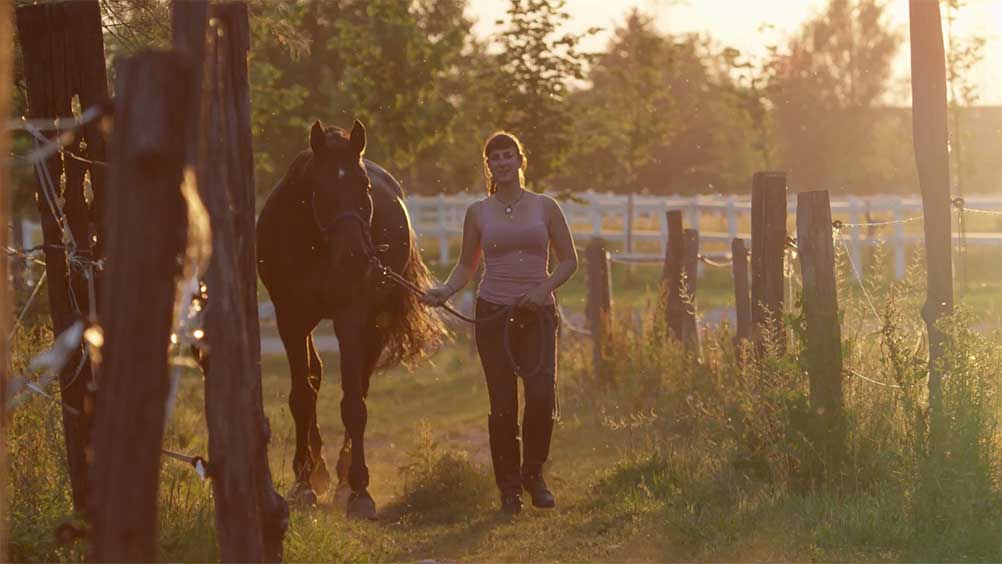 Reitanlage Behr – Bild 3