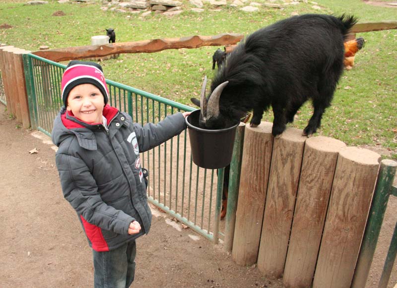 Tierpark Eilenburg – Bild 2