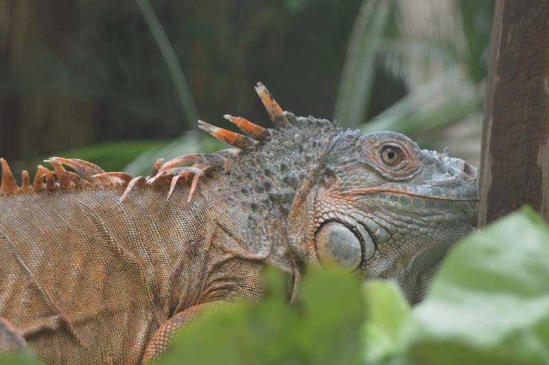 Tierpark Eilenburg – Bild 5