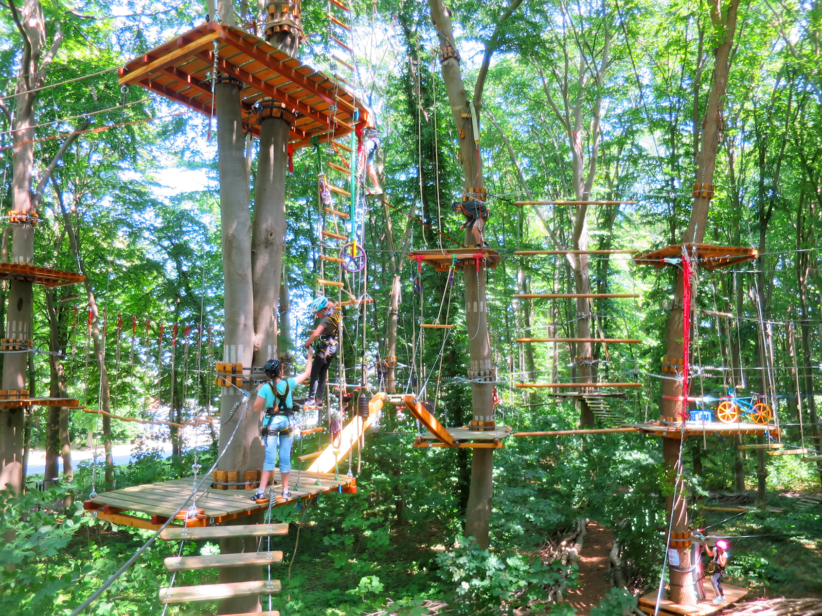 Kletterpark Greifswald – Bild 3