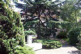 Parc des Copeaux – Bild 6