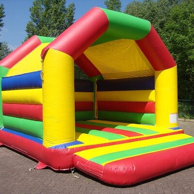 Dino Dschungel – Bild 6