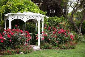 Silver Stream Park – Bild 5