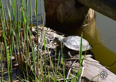 Spielplatz am Stadtrainsee – Bild 6