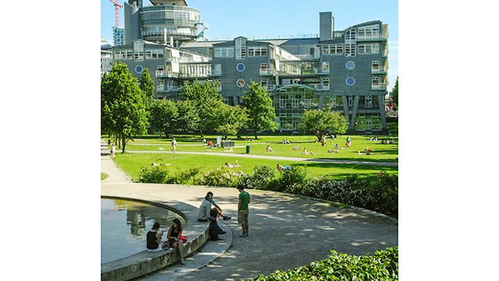 Michelwiese – Bild 3