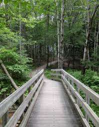 Escarpement Park – Bild 2