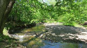 Escarpement Park – Bild 5