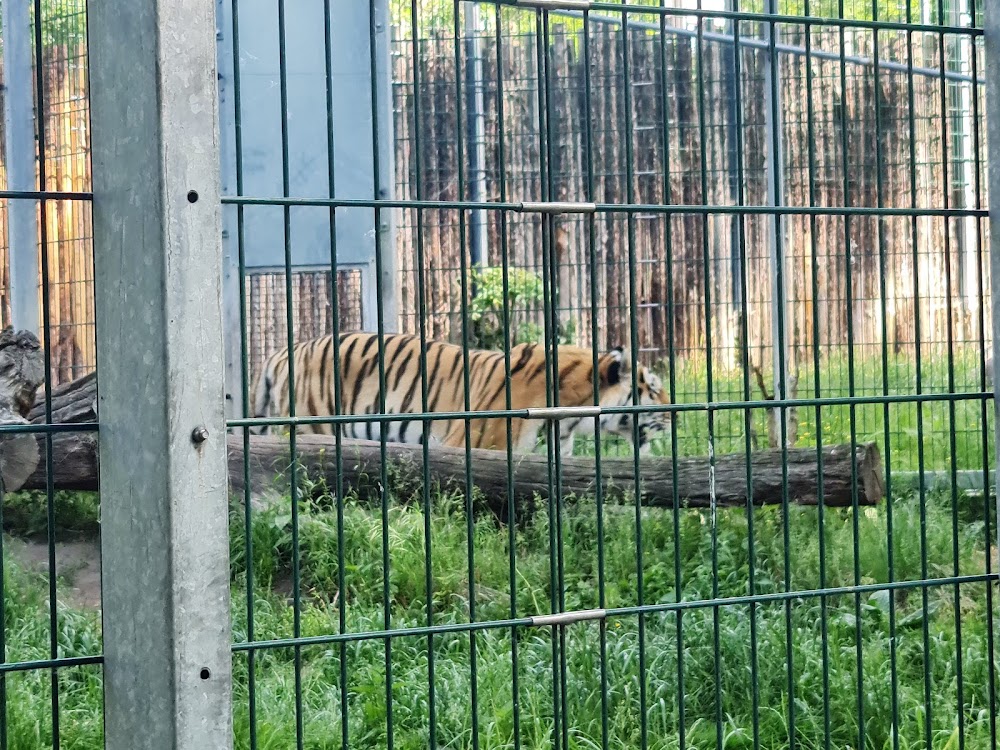 Hansestadt Stendal - Tiergarten – Bild 1