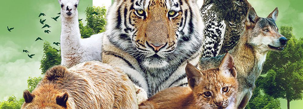 Hansestadt Stendal - Tiergarten – Bild 2