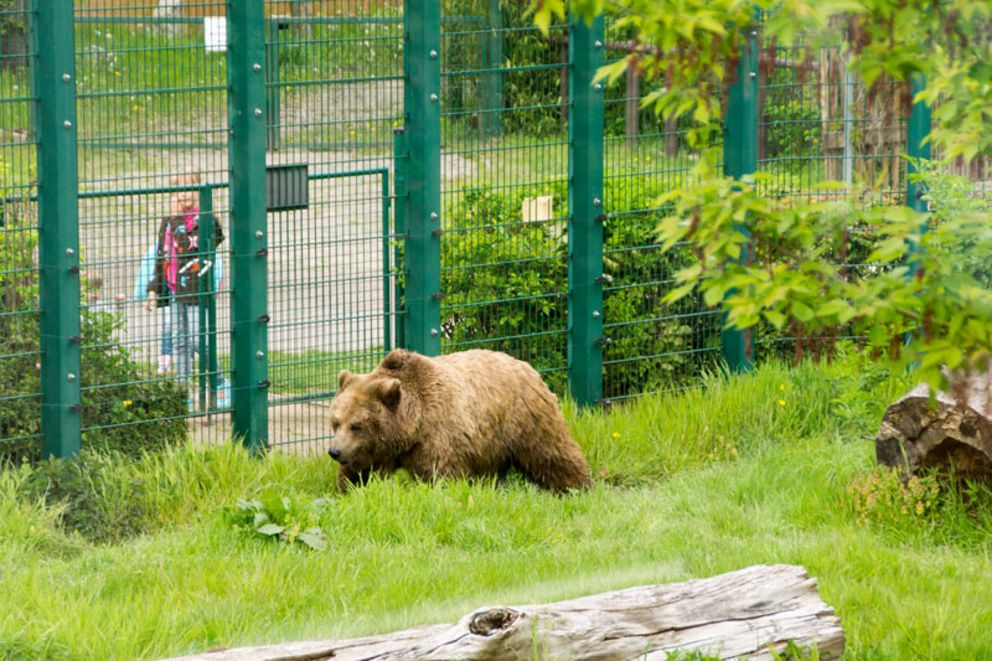 Hansestadt Stendal - Tiergarten – Bild 3