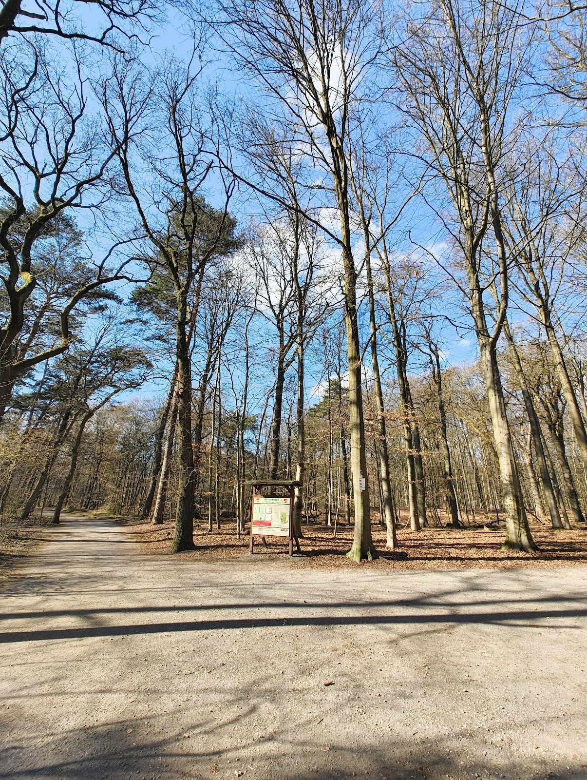Streetworkout-/Parkouranlage – Bild 4