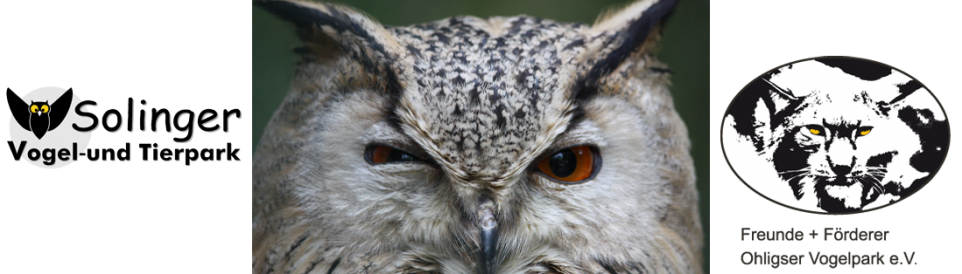 Solinger Vogel- und Tierpark – Bild 3