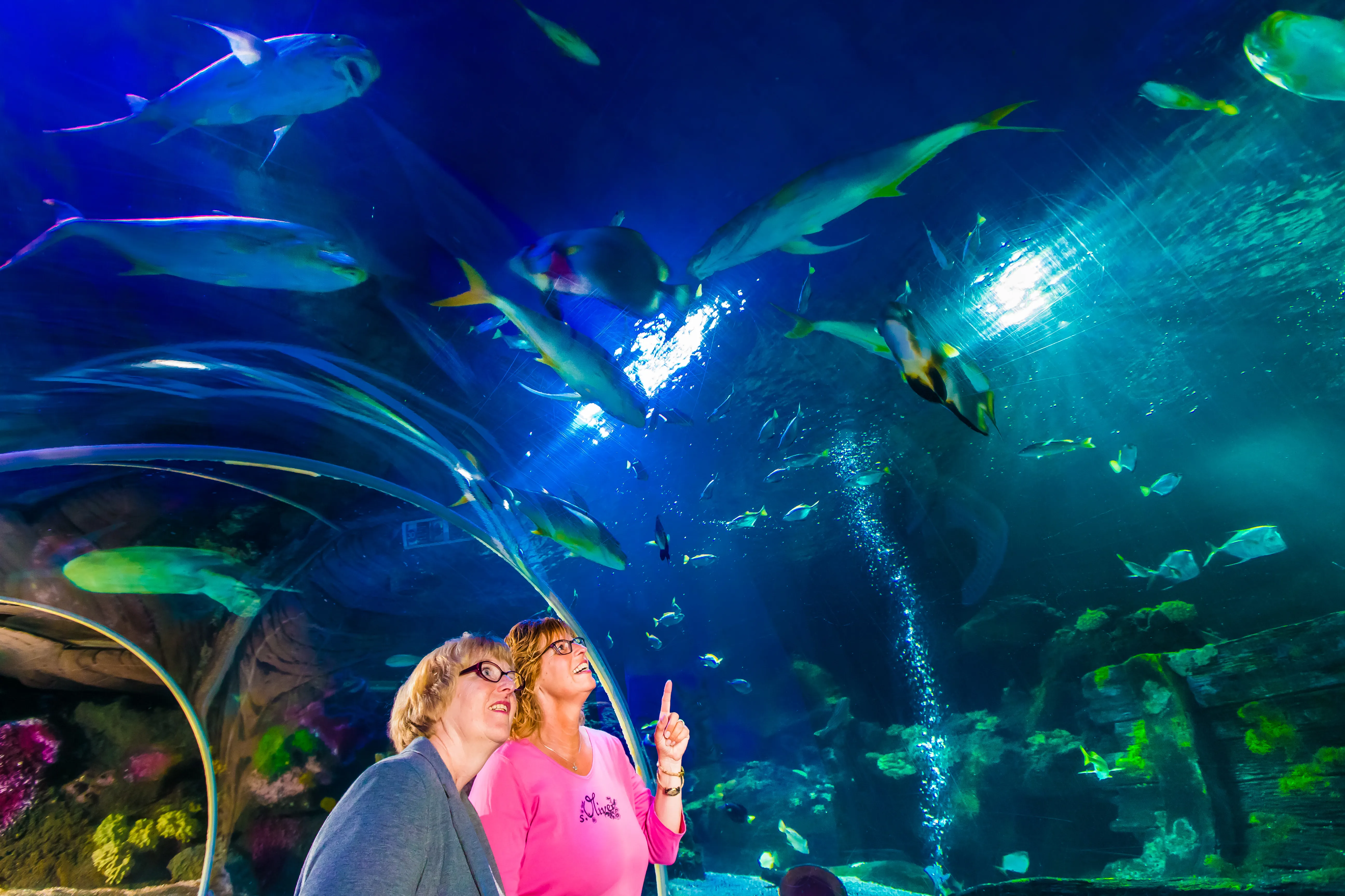 SEA LIFE München – Bild 2