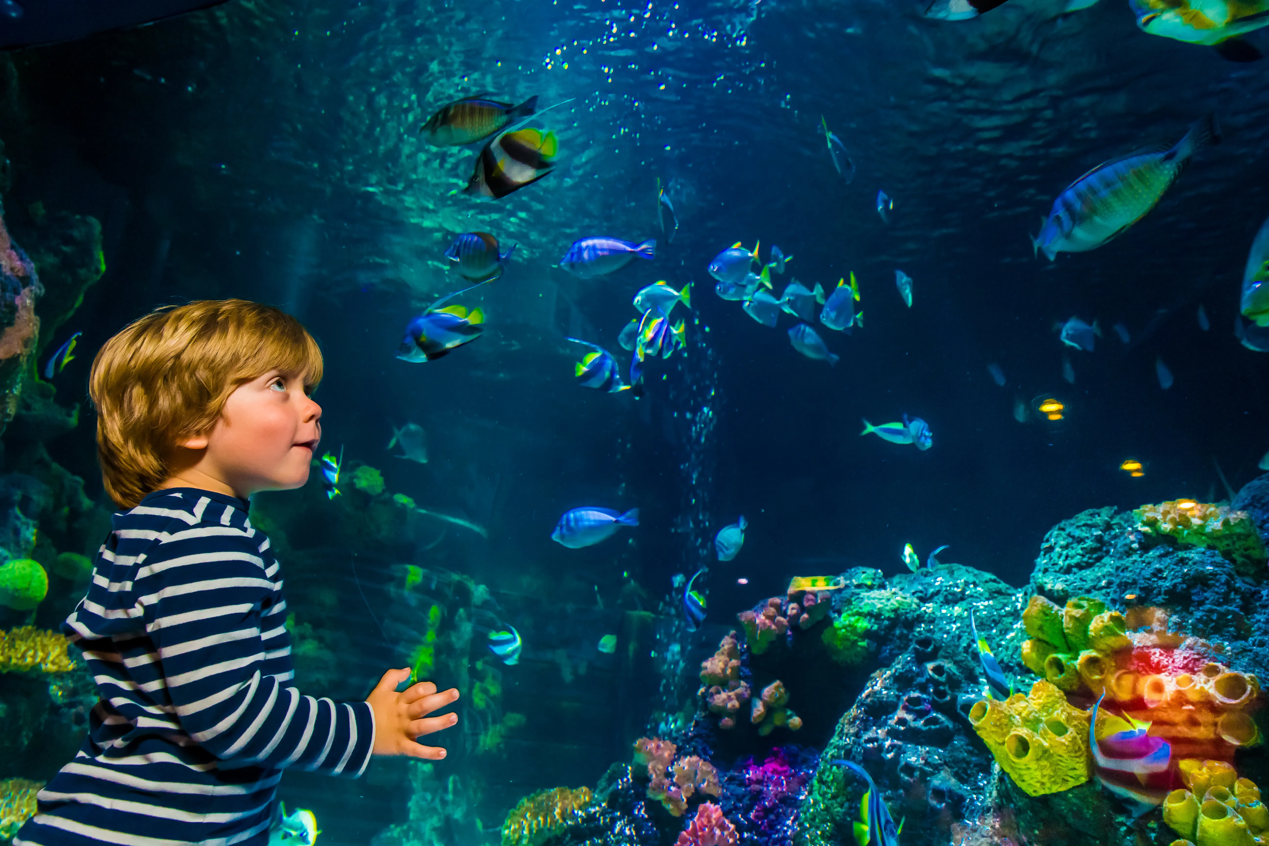 SEA LIFE München – Bild 5