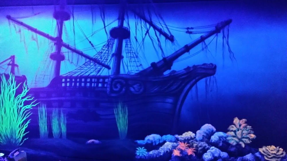 BlackPearl Neuwied – Bild 6