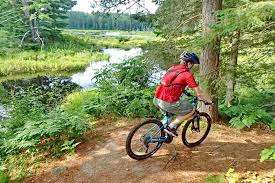 Forest Lea Park – Bild 3