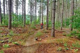 Forest Lea Park – Bild 5