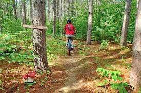 Forest Lea Park – Bild 6