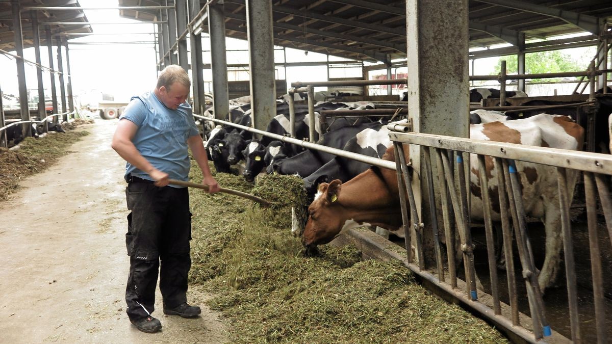 Hof Heisecke – Bild 3