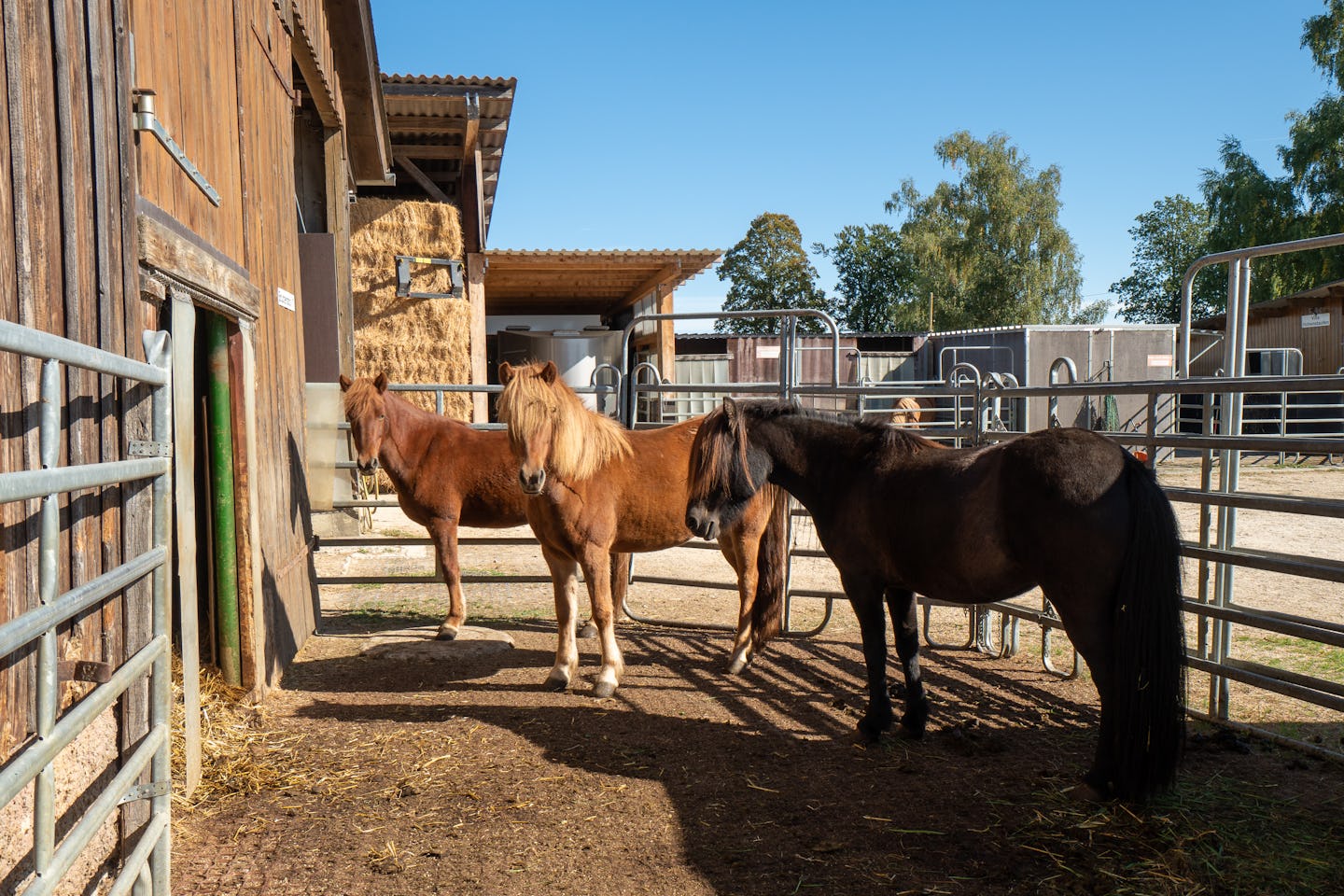 Spiel- Und Freizeitpark Schurrenhof – Bild 4