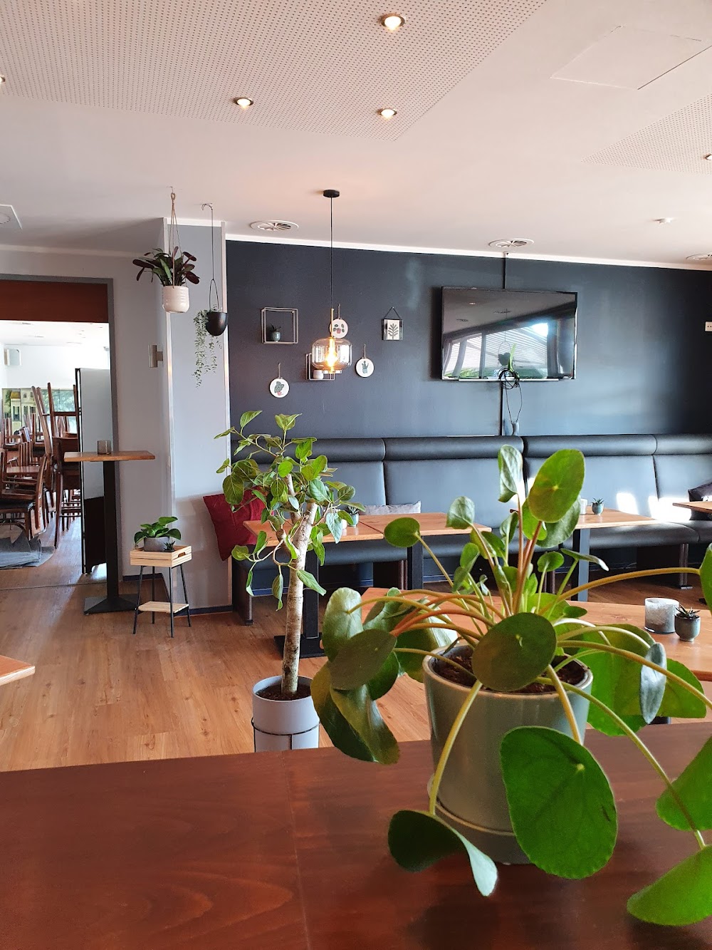 Lim´s WAY – Bild 2