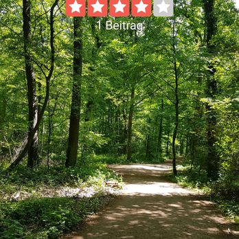 Stadtwald – Bild 2