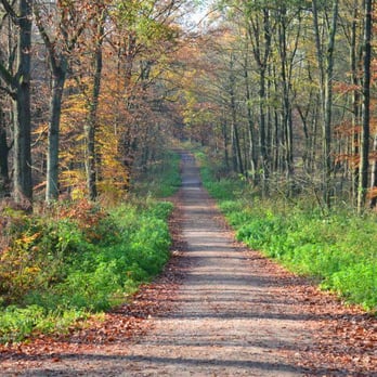 Stadtwald – Bild 5