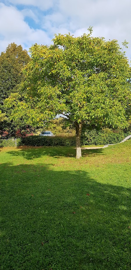 Schlossgarten – Bild 2