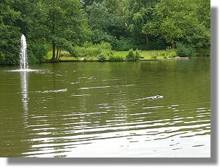 Oldentruper Park – Bild 6